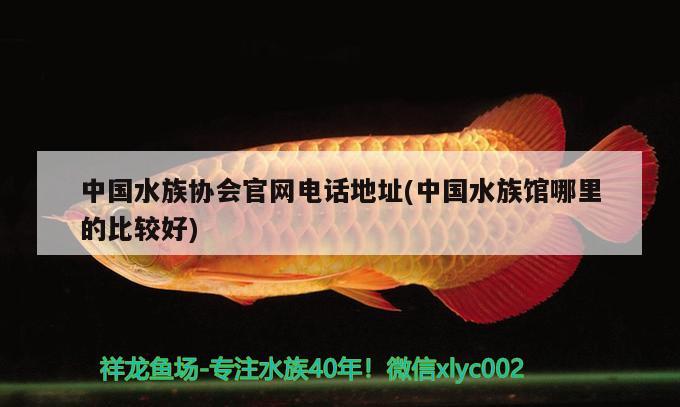 中國(guó)水族協(xié)會(huì)官網(wǎng)電話地址(中國(guó)水族館哪里的比較好)