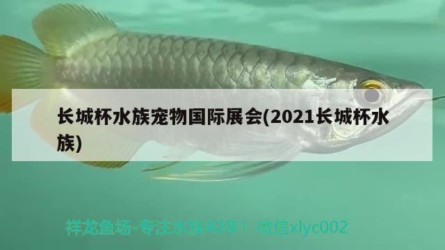 長(zhǎng)城杯水族寵物國(guó)際展會(huì)(2021長(zhǎng)城杯水族) 2024第28屆中國(guó)國(guó)際寵物水族展覽會(huì)CIPS（長(zhǎng)城寵物展2024 CIPS） 第1張