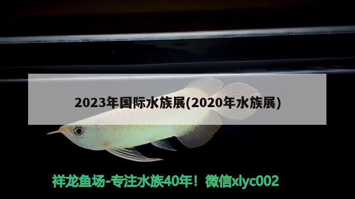 2023年國(guó)際水族展(2020年水族展)