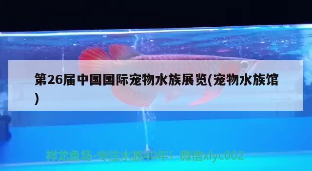 第26屆中國國際寵物水族展覽(寵物水族館)