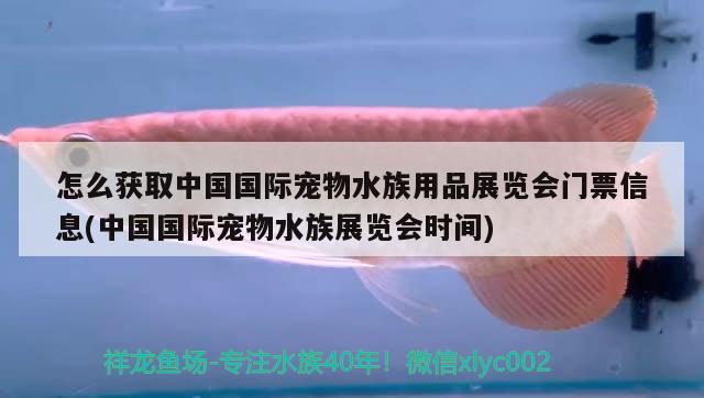 怎么獲取中國國際寵物水族用品展覽會門票信息(中國國際寵物水族展覽會時間)