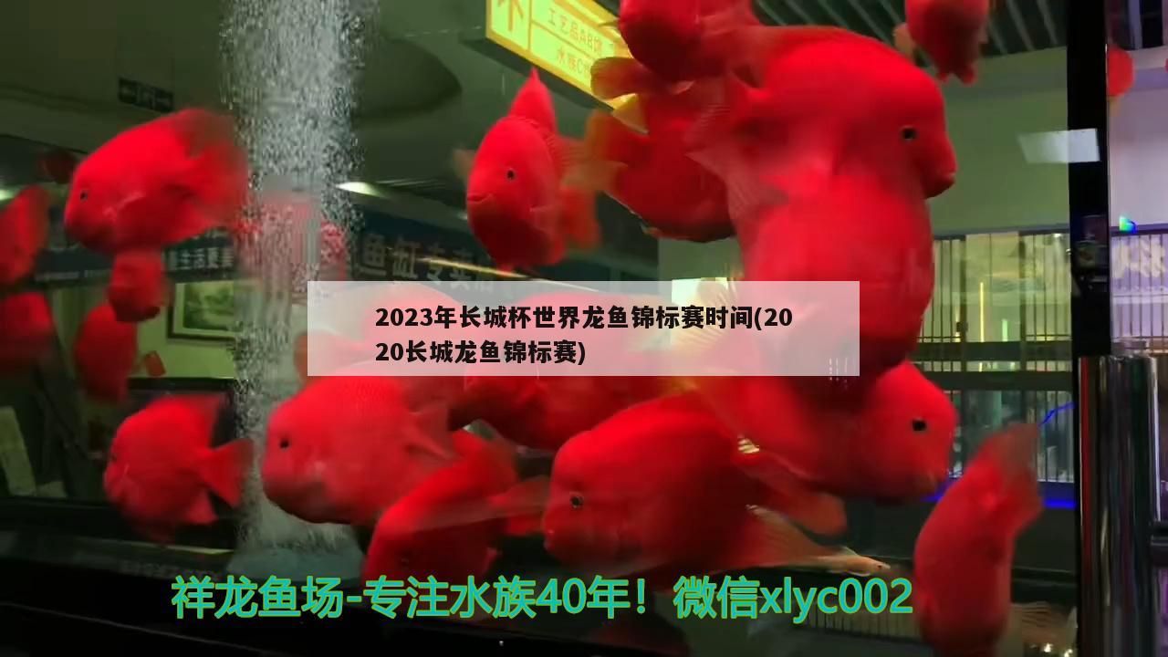 2023年長城杯世界龍魚錦標(biāo)賽時間(2020長城龍魚錦標(biāo)賽)