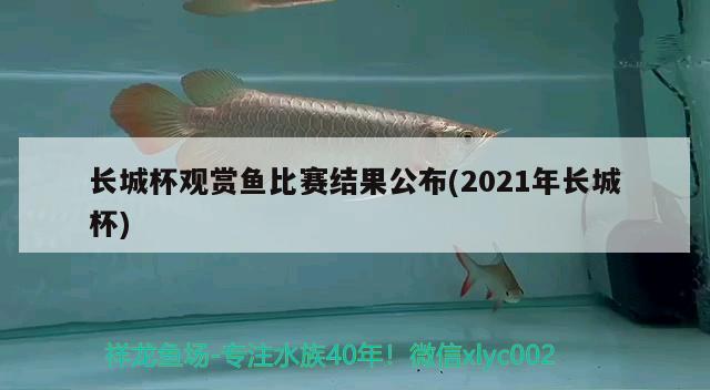 長城杯觀賞魚比賽結(jié)果公布(2021年長城杯) 2024第28屆中國國際寵物水族展覽會CIPS（長城寵物展2024 CIPS）