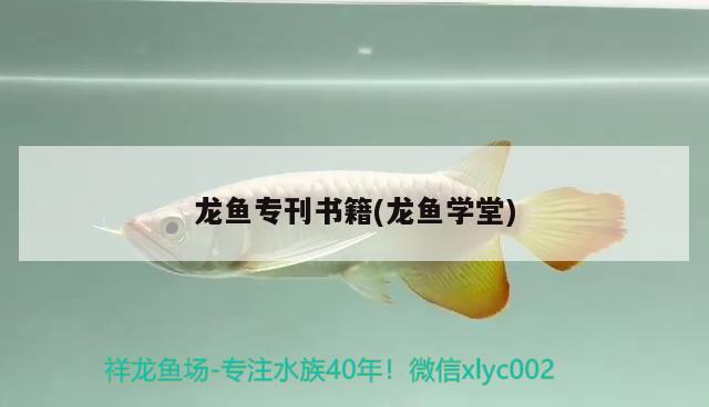 龍魚?？瘯?龍魚學(xué)堂) 2025第29屆中國國際寵物水族展覽會CIPS（長城寵物展2025 CIPS）