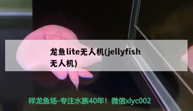 龍魚lite無人機(jī)(jellyfish無人機(jī)) 2024第28屆中國國際寵物水族展覽會(huì)CIPS（長(zhǎng)城寵物展2024 CIPS）