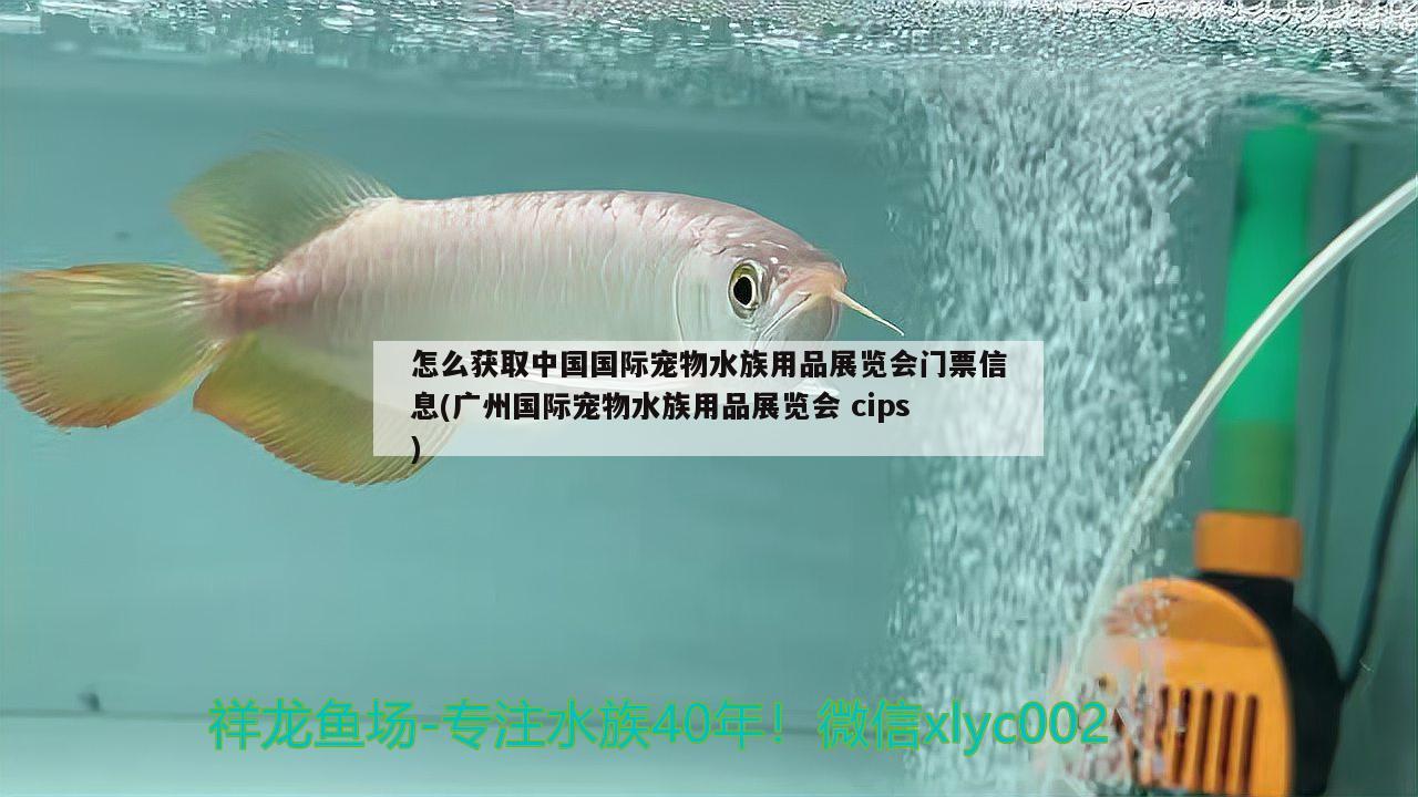 怎么獲取中國國際寵物水族用品展覽會門票信息(廣州國際寵物水族用品展覽會cips)