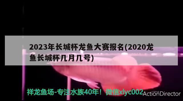 2023年長城杯龍魚大賽報(bào)名(2020龍魚長城杯幾月幾號) 2024第28屆中國國際寵物水族展覽會(huì)CIPS（長城寵物展2024 CIPS）