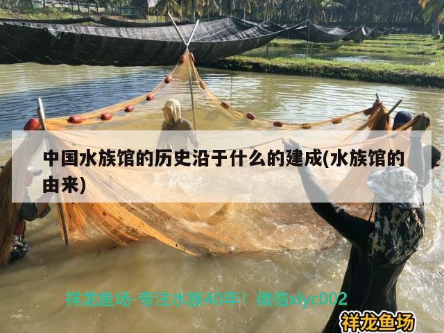 中國水族館的歷史沿于什么的建成(水族館的由來) 2024第28屆中國國際寵物水族展覽會(huì)CIPS（長城寵物展2024 CIPS）