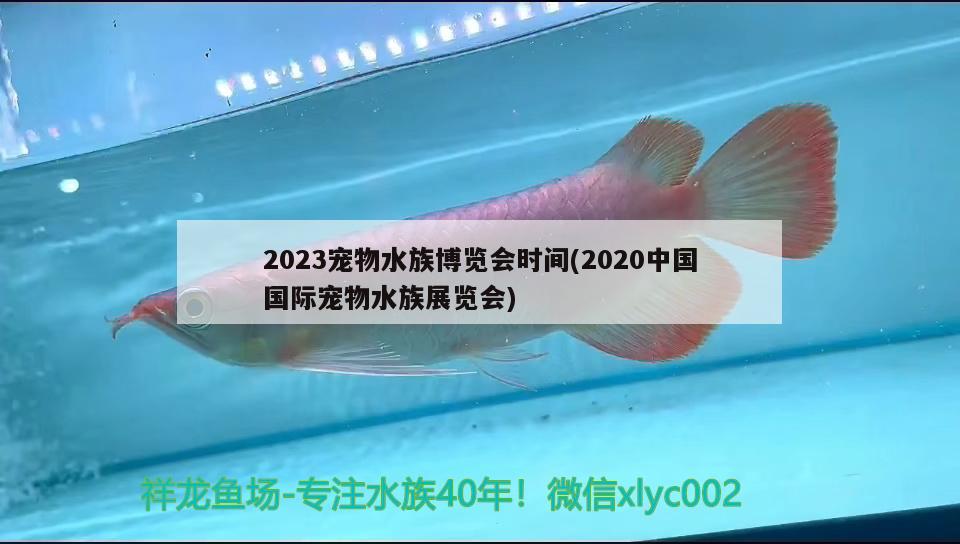 2023寵物水族博覽會時間(2020中國國際寵物水族展覽會)