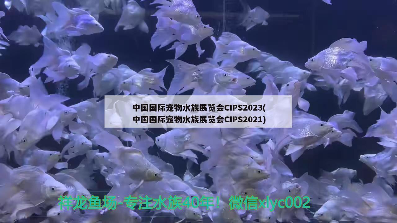 中國國際寵物水族展覽會CIPS2023(中國國際寵物水族展覽會CIPS2021)