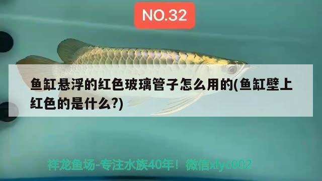 魚缸懸浮的紅色玻璃管子怎么用的(魚缸壁上紅色的是什么?) 水族燈（魚缸燈）