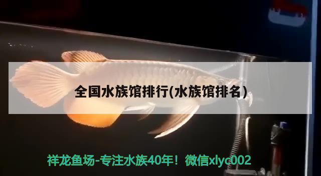 全國(guó)水族館排行(水族館排名) 2024第28屆中國(guó)國(guó)際寵物水族展覽會(huì)CIPS（長(zhǎng)城寵物展2024 CIPS） 第2張