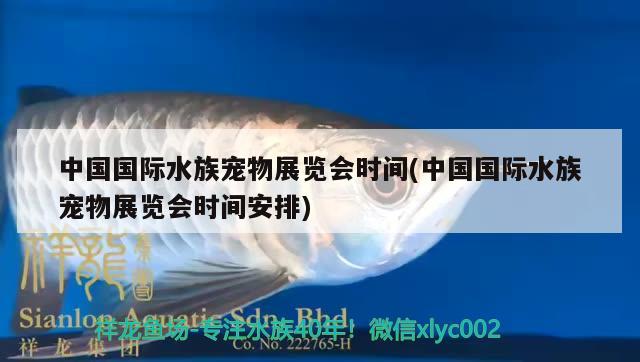 中國(guó)國(guó)際水族寵物展覽會(huì)時(shí)間(中國(guó)國(guó)際水族寵物展覽會(huì)時(shí)間安排)