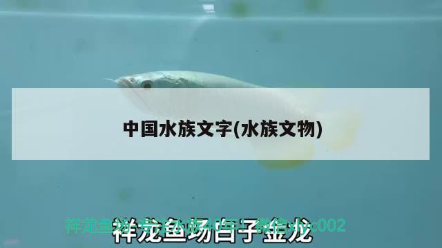 中國水族文字(水族文物)