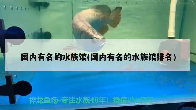 國內(nèi)有名的水族館(國內(nèi)有名的水族館排名) 2024第28屆中國國際寵物水族展覽會CIPS（長城寵物展2024 CIPS） 第1張