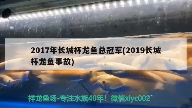 2017年長(zhǎng)城杯龍魚總冠軍(2019長(zhǎng)城杯龍魚事故)