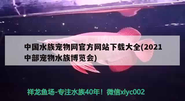 中國水族寵物網(wǎng)官方網(wǎng)站下載大全(2021中部寵物水族博覽會)