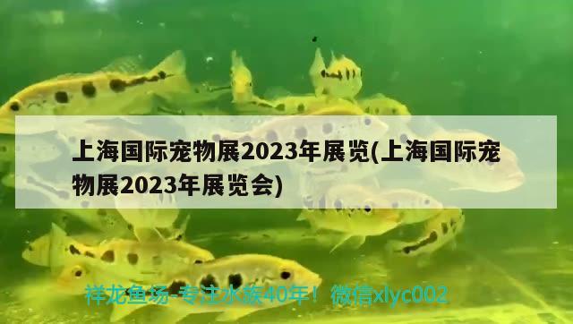 上海國(guó)際寵物展2023年展覽(上海國(guó)際寵物展2023年展覽會(huì)) 2024第28屆中國(guó)國(guó)際寵物水族展覽會(huì)CIPS（長(zhǎng)城寵物展2024 CIPS）