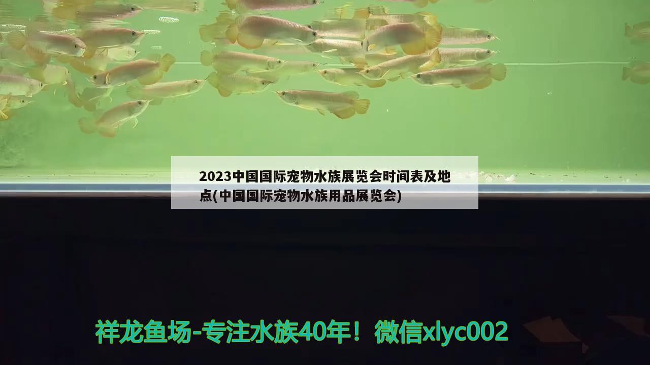 2023中國國際寵物水族展覽會時間表及地點(diǎn)(中國國際寵物水族用品展覽會) 水族展會