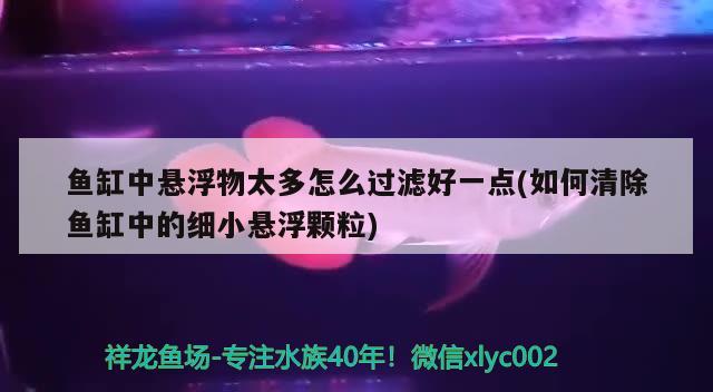 魚缸中懸浮物太多怎么過濾好一點(diǎn)(如何清除魚缸中的細(xì)小懸浮顆粒) 大正錦鯉魚