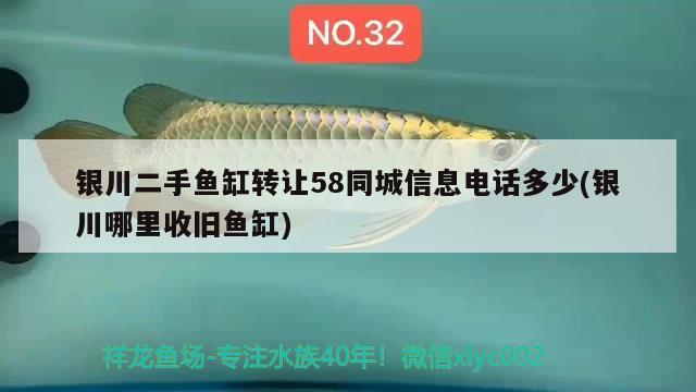 銀川二手魚缸轉(zhuǎn)讓58同城信息電話多少(銀川哪里收舊魚缸) 過濾設(shè)備