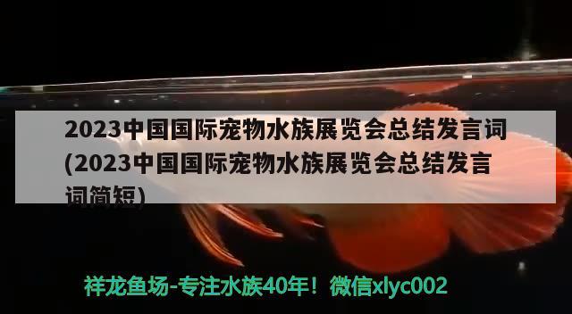 2023中國國際寵物水族展覽會總結(jié)發(fā)言詞(2023中國國際寵物水族展覽會總結(jié)發(fā)言詞簡短)