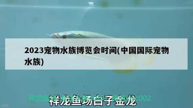 2023寵物水族博覽會時間(中國國際寵物水族)