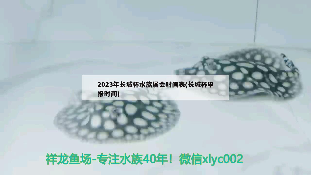 2023年長(zhǎng)城杯水族展會(huì)時(shí)間表(長(zhǎng)城杯申報(bào)時(shí)間)