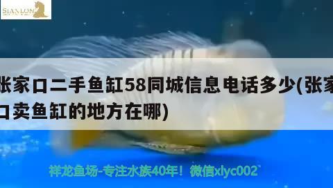 張家口二手魚缸58同城信息電話多少(張家口賣魚缸的地方在哪) 魚缸凈水劑