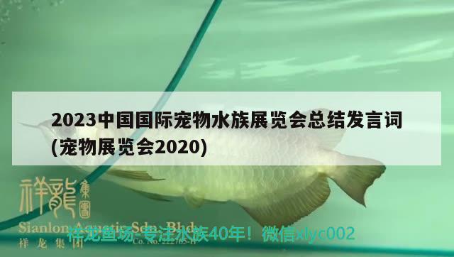 2023中國國際寵物水族展覽會總結(jié)發(fā)言詞(寵物展覽會2020)