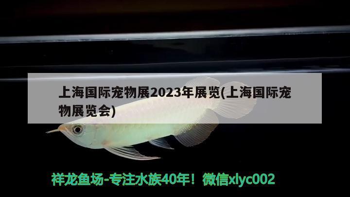 上海國際寵物展2023年展覽(上海國際寵物展覽會)