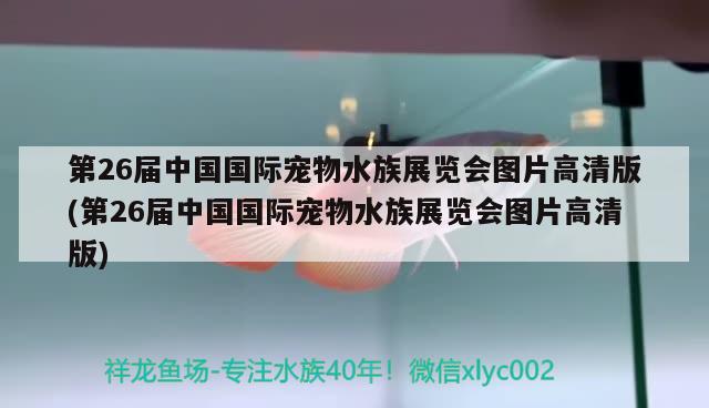 第26屆中國(guó)國(guó)際寵物水族展覽會(huì)圖片高清版(第26屆中國(guó)國(guó)際寵物水族展覽會(huì)圖片高清版)