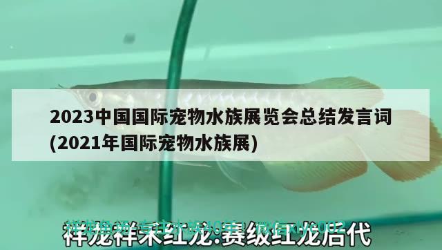 2023中國國際寵物水族展覽會總結(jié)發(fā)言詞(2021年國際寵物水族展) 水族展會