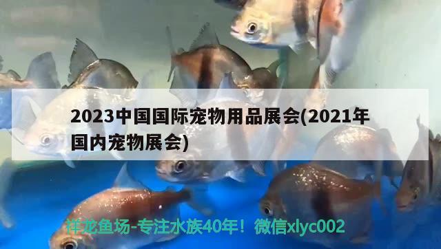 2023中國國際寵物用品展會(2021年國內寵物展會)