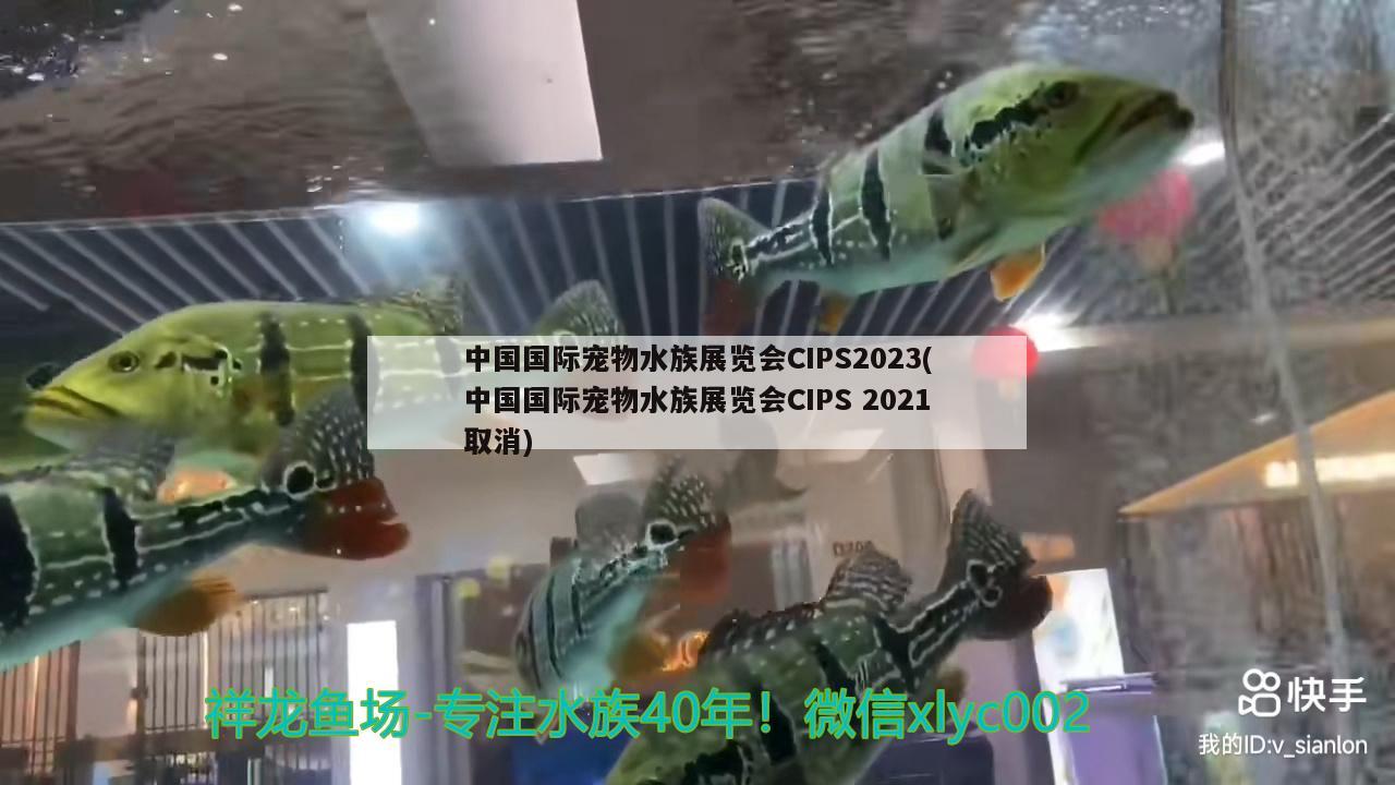 中國國際寵物水族展覽會CIPS2023(中國國際寵物水族展覽會CIPS2021取消) 水族展會 第2張