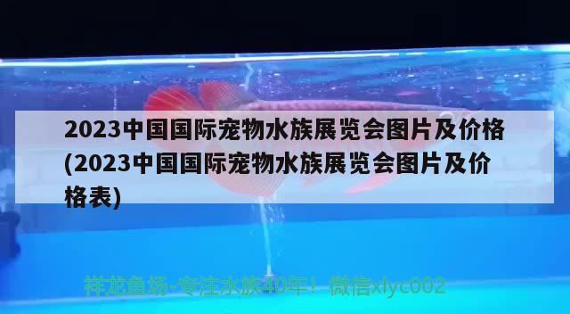 2023中國國際寵物水族展覽會圖片及價格(2023中國國際寵物水族展覽會圖片及價格表)