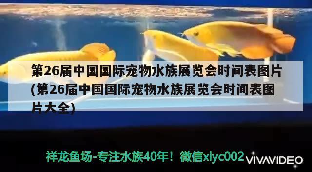 第26屆中國國際寵物水族展覽會時間表圖片(第26屆中國國際寵物水族展覽會時間表圖片大全) 水族展會