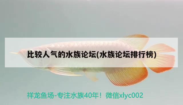 比較人氣的水族論壇(水族論壇排行榜) 2024第28屆中國國際寵物水族展覽會CIPS（長城寵物展2024 CIPS） 第1張