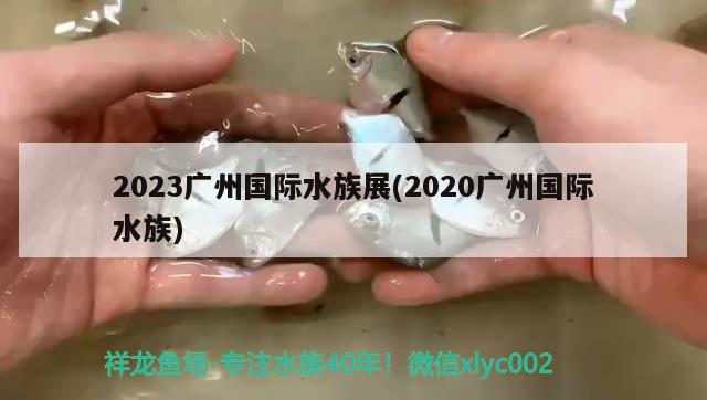 2023廣州國際水族展(2020廣州國際水族)