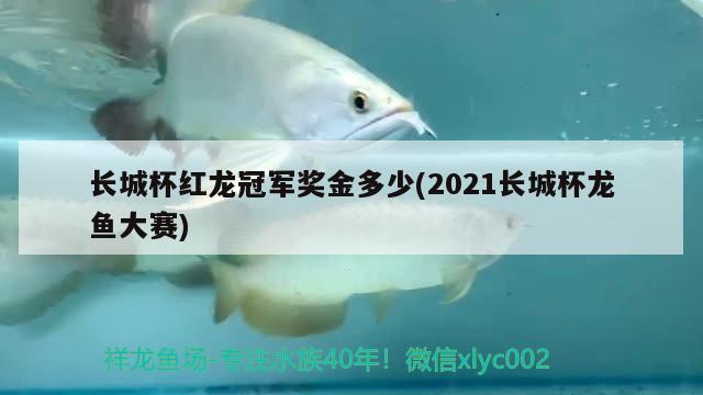 長(zhǎng)城杯紅龍冠軍獎(jiǎng)金多少(2021長(zhǎng)城杯龍魚(yú)大賽) 2024第28屆中國(guó)國(guó)際寵物水族展覽會(huì)CIPS（長(zhǎng)城寵物展2024 CIPS）