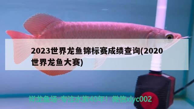 2023世界龍魚錦標(biāo)賽成績查詢(2020世界龍魚大賽) 2024第28屆中國國際寵物水族展覽會(huì)CIPS（長城寵物展2024 CIPS）