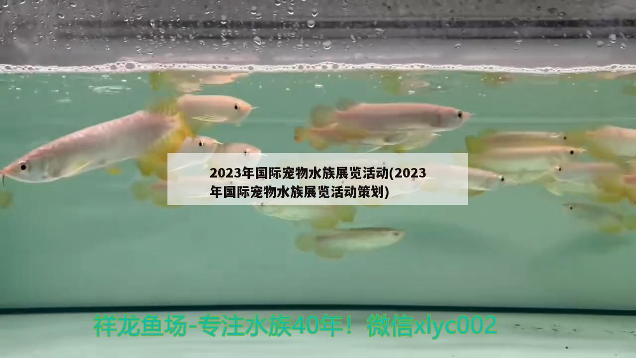 2023年國際寵物水族展覽活動(2023年國際寵物水族展覽活動策劃)