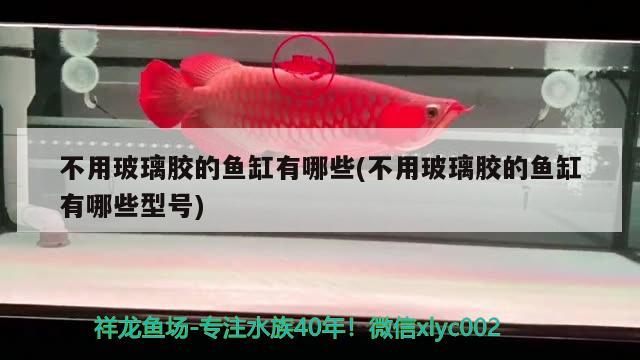 不用玻璃膠的魚缸有哪些(不用玻璃膠的魚缸有哪些型號(hào)) 觀賞魚市場(chǎng)