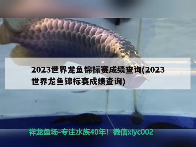 2023世界龍魚錦標賽成績查詢(2023世界龍魚錦標賽成績查詢)