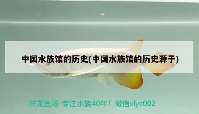 中國(guó)水族館的歷史(中國(guó)水族館的歷史源于) 2025第29屆中國(guó)國(guó)際寵物水族展覽會(huì)CIPS（長(zhǎng)城寵物展2025 CIPS）