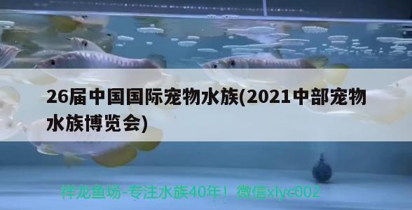 26屆中國國際寵物水族(2021中部寵物水族博覽會) 2024第28屆中國國際寵物水族展覽會CIPS（長城寵物展2024 CIPS）