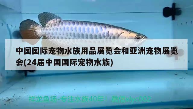 中國國際寵物水族用品展覽會和亞洲寵物展覽會(24屆中國國際寵物水族)