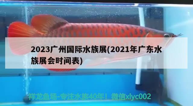 2023廣州國際水族展(2021年廣東水族展會時間表) 水族展會