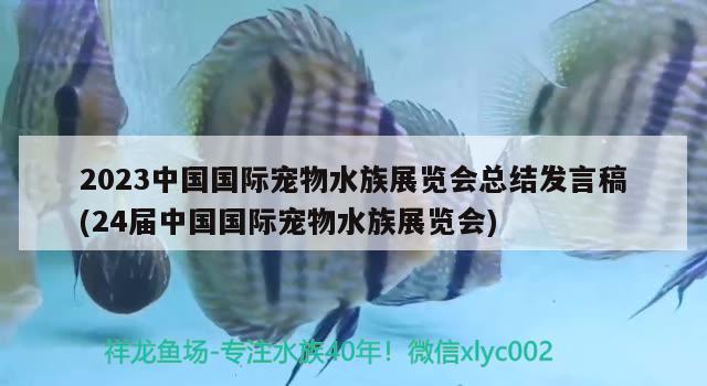 2023中國(guó)國(guó)際寵物水族展覽會(huì)總結(jié)發(fā)言稿(24屆中國(guó)國(guó)際寵物水族展覽會(huì)) 水族展會(huì)