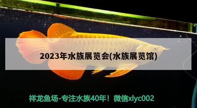 2023年水族展覽會(水族展覽館) 水族展會